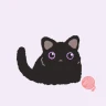 카톡 테마 - Black Cat 흑당이