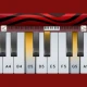 Pro Pianist icon