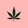 Expo Cannabis Argentina
