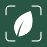 Plantaria - Plant identifier