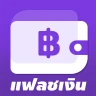 แฟลชเงิน-แฟลชเงิน