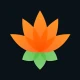 Lotus Chess – Trainer icon
