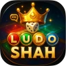 Ludo Mulltiplayer Board Game