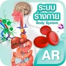 ระบบร่างกายมนุษย์แบบสามมิติ