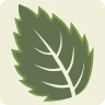 ArbolApp