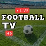 Calcio in diretta TV HD