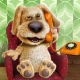 Talking Ben icon