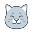 Curious Cat: Paid Surveys icon