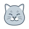 Curious Cat: Paid Surveys