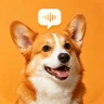Pet Translator: Fun Sounds