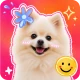 Sticker Maker Studio & Editor icon