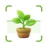Identification des plantes