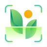 Plant Identifier & Plant Care
