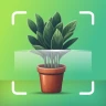 Scanner identifiant plante