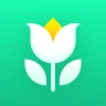 Plant Parent: Plant Care Guide