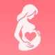 Pregnancy tracker week by week icon