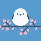 Shima Bird - Japanese Learning icon