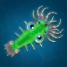 Spore Evolution-Microbes World