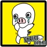 돼지력 테스트