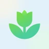 Plant App - Plant Identifier