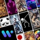 الخلفيات : Walli برنامج خلفيات icon