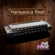 Harmonica Real icon