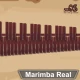 Marimba, Xylophone, Vibraphone icon