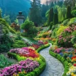 Nature Wallpapers 4K icon