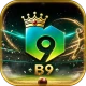 B9 game icon