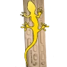 LizardEdge for Beastmaker 2000