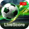 Live Ergebnisse Fußball