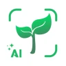 Plantes Reconnaissance & Soins