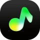 TuneCarry: Música offline icon