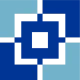 VidyoConnect icon