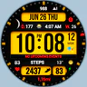 Dgt BigMod Informer Watch face