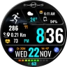 Big Digital Sport NTV251