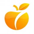 OraVPN icon
