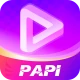 PAPI icon