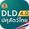DLD4.0