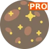자미두수 명반 PRO