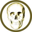 Anatomie Quiz Pro icon