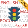 Führerschein 2025 GOLD