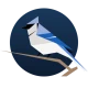 BirdNET Live icon