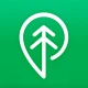 Treebal icon