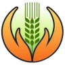 Crop Insurance