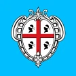 ECM SAR icon