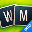 Word Master Pro in Nederlands icon