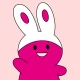 福井テレビアプリ icon