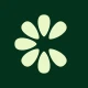 Clove: importa e salva icon