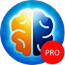 Denkspiele Pro